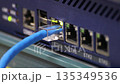 blue Ethernet cable connected to a gigabit network  135349536
