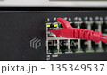Ethernet cable connected to a gigabit network switch 135349537
