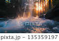 關於自然、負離子和森林瀑布的短視頻 135359197
