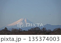 Tobi and Mount Fuji 135374003