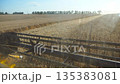 Close up knife of combine spinning and cutting ears of wheat. Grain harvester working in field at sunset. View on scenic landscape of rural and process of gathering barley from inside cabin. Slow mo 135383081