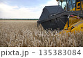 Side view of modern combine gathering crop of ripe wheat in countryside. Harvester slowly riding through field cutting stalks of barley. Concept of food industry or harvesting. Slow motion Close up 135383084