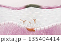 The whitening mechanism by which tranexamic acid acts on melanocytes to lighten age spots and melasma 135404414