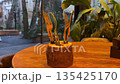 Forks and knives on a wooden stump, served in a restaurant, orange color, evening 135425170
