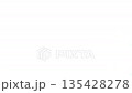 <縮時攝影>夜間閃電與鹿① 135428278