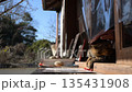 長岳寺のトラ猫（奈良県天理市, 2025年12月） 135431908