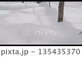 北海道　真冬の樹木と雪景色 135435370