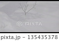 北海道　真冬の樹木と雪景色 135435378