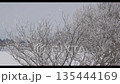 雪の付いた樹木と雪景色 135444169