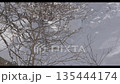 雪の付いた樹木と雪景色 135444174