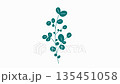 Green, rustic, organic leafy plant illustrations and plant animations 135451058