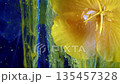 Closeup flower scene, Dewcovered blossom with detail, Micro view of yellow flower with dew and reflections 135457328