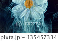 Cinematic macro shot of daisy with smoke, Yellowcentered daisy amidst drifting blue smoke scene 135457334