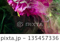 Dramatic composition featuring magenta blossoms and neon details against textured artistic backdrop 135457336