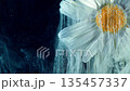Daisy in smoky haze, Cinematic portrayal of drifting daisy with shimmering haze and luminous golden core 135457337
