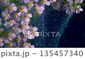 Floral scent scene, Scented blossoms swirl through vivid and delicate aromatic laboratory environment 135457340