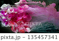 Bright petals flow with grace, Energetic floral movement resembling underwater dance scenes 135457341