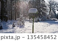 In a beautiful snow-covered park there is a bird feeder where swallows feed. 135458452