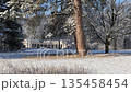 Snow falls from trees in a beautiful winter arboretum with monuments. 135458454