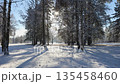 Snowy paths lead through a park during a frosty winter walk. 135458460