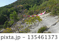 p2244114 135461373