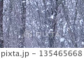 A serene and hazy winter scene of a dense forest during a heavy snowfall, with bare tree branches partially obscured by a thick veil of falling white snow and a monochromatic atmosphere. High quality 135465668