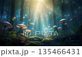 Mystical forest with glowing mushrooms and sunbeam 135466431