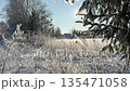 a field covered with snow against a blue winter sky. several spruce trees covered with snow on the right. a field covered with snow against a blue winter sky. several spruce trees covered with snow on the right. 135471058