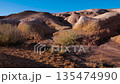 A desert, arid area subject to erosion. 135474990
