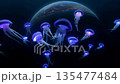 Bioluminescent jellyfish floating through a dark cosmic ocean with planetary arc, surreal underwater sci-fi atmosphere 135477484