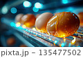 Fresh chicken eggs moving along a curved conveyor belt in a modern food processing factory, illustrating automation, efficiency, and large-scale egg production 135477502