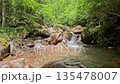 A stream flowing along the hiking trail (with the sound of water) 135478007