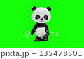 Cute panda character Chromakey background Panda Giant Panda 135478501
