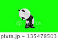 Cute panda character Chromakey background Panda Giant Panda 135478503