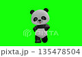 Cute panda character Chromakey background Panda Giant Panda 135478504
