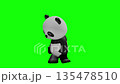 Cute panda character Chromakey background Panda Giant Panda 135478510