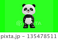 Cute panda character Chromakey background Panda Giant Panda 135478511