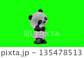 Cute panda character Chromakey background Panda Giant Panda 135478513