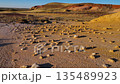 A desert, arid area subject to erosion against a backdrop of colorful hills. 135489923