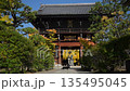 銀杏の色づいた頂妙寺の境内を歩く黒猫 （京都府京都市, 2025年11月) 135495045