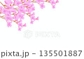 風に揺れる桜の枝 135501887