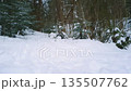 Snowy wintertime scenery with path from footprints among snowdrifts and snow covered fir trees on snowbound conifer forest edge at overcast winter day with slight snowfall. Wintry natural background. 135507762