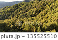 日本山景的無人機空拍畫面 135525510