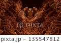 Phoenix, firebird, phoenix, bird, feather, flying, flight 135547812