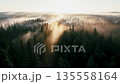 Drone aerial photography of coniferous forests and sea of clouds shrouded in morning mist [Generative AI] 135558164