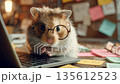 Hamster designs UX wireframes while wearing tiny glasses in a cozy workspace with colorful notes 135612523