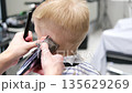 Hairdresser cutting a little blond boy's hair with an electric clipper 135629269