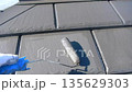 Roof painting 135629303