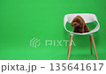 Vivid setting captures joyful brown poodle in photograph 135641617