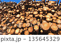 Close-up view of stacked cut timber logs forming a dense woodpile 135645329